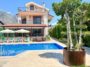 Centrally Located Very Large Villa W Pool Jakuz and Car Park